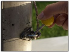 Photo 9, Pull it through